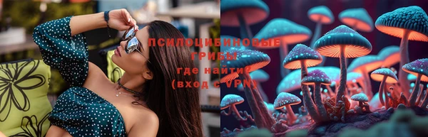 spice Заводоуковск